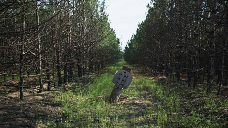 В Україні триватимуть розмінування територій. Фото ДСНС