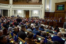 7 днів на референдум. Чи готова Рада підтримати мирну угоду з передачею Донбасу РФ